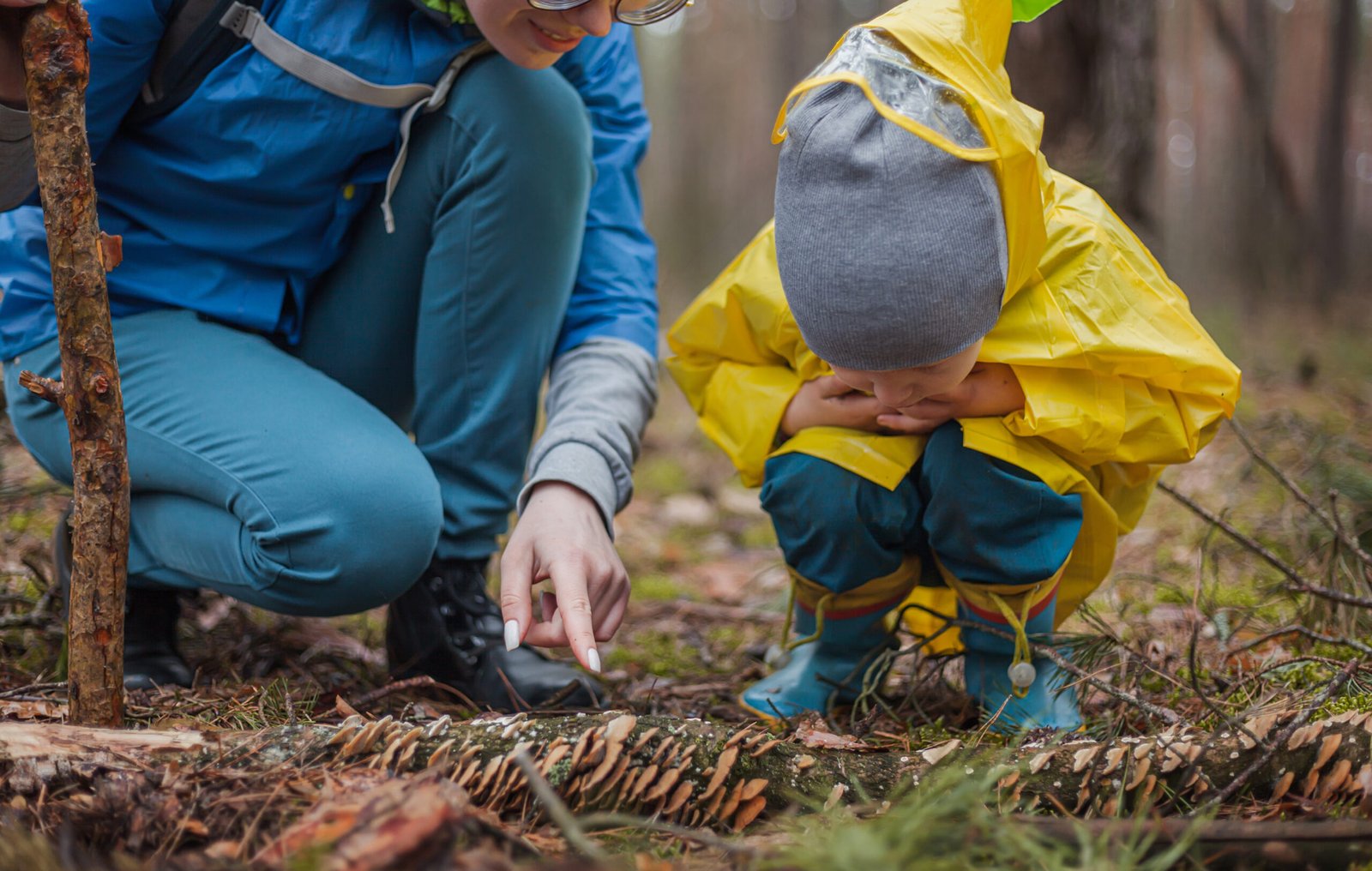 Mom and child walking in the forest after rain in raincoats together, looking at mushrooms on a fallen tree and talking